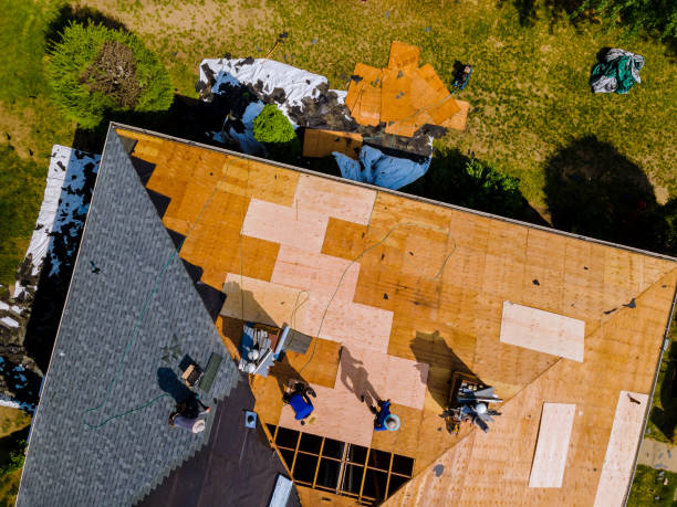 Best Roof Leak Repair  in Maury, NC