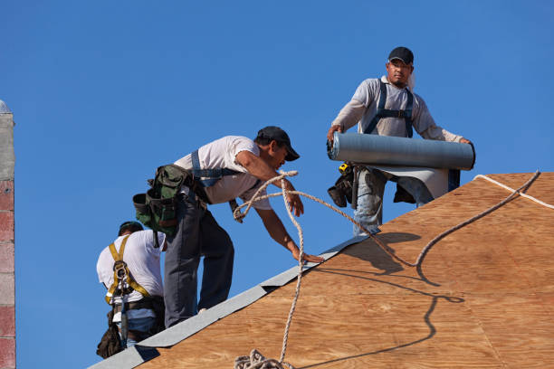 Best Gutter Installation and Roofing  in Maury, NC