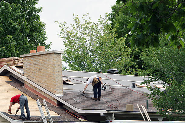 Quick and Trustworthy Emergency Roof Repair Services in Maury, NC
