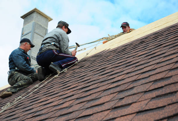 Best New Roof Installation  in Maury, NC