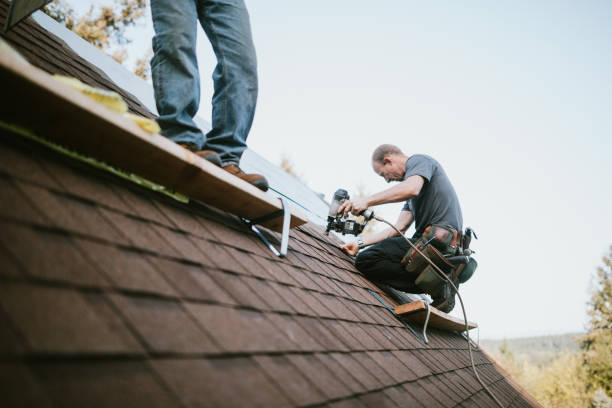 Best Roof Maintenance Services  in Maury, NC